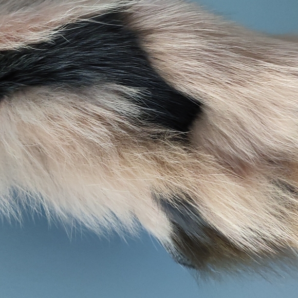 Bcbgmaxzaria real foxfur vest - Picture 4 of 5